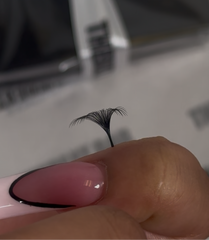 FAN FAVORITE (CC CURL